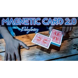 Magnetic card 2.0 by Ebbytones