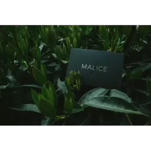 Malice by Eric Jones And Lost Art Magic