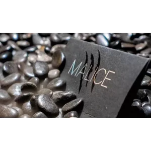 Malice by Xavior Spade