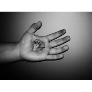 Match Heads by Matt Mello