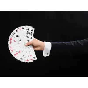 Math And Magic (12 Video + 1 Pdf) by The Great Courses