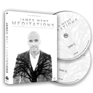 Meditations (1-2) by James Went