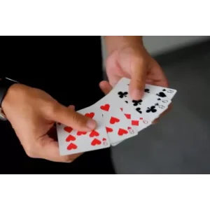 Membership Series – Castrol & Fiji by Edo Huang