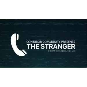 Mental Chips by Wang Kaifu