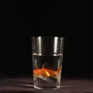 Milk To by Bazar De Magia