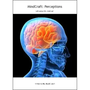 Mindcraft Perceptions by Bill Dekel