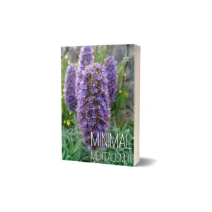 Minimal Mentalism Iiii by Pablo Amira