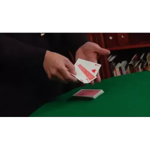 Mistaken Sandwich by Bill Goodwin