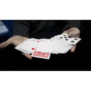 Mono Verde by Kiko Pastur