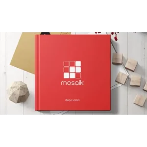 Mosaik (Video+Pdf) by Diego Voltini