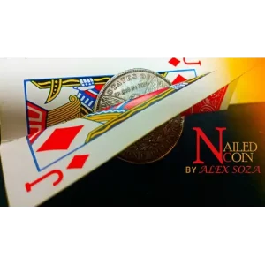 Nailed Coin by Alex Soza
