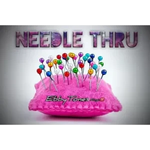 Needle Thru by Ebbytones