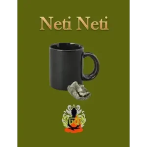 Neti Neti by Sudo Nimh