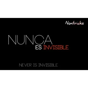 Never Is Invisible by Kiko Pastur