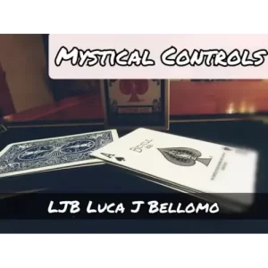 New Controls Project – Mystical Controls by Luca J. Bellomo (Ljb)