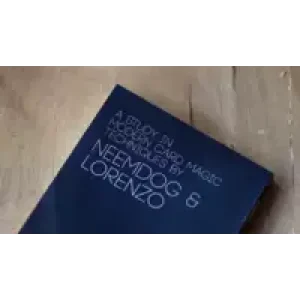 Nine Black Cats by Neemdog And Lorenzo