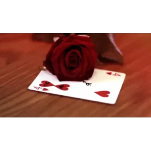 One 2.0 by Matthew Underhill