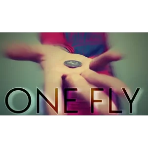 One Fly by Alessandro Criscione