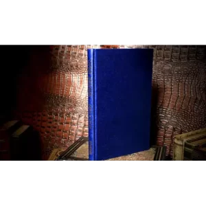 Open Sesame by Eric C. Lewis And Wilfred Tyler