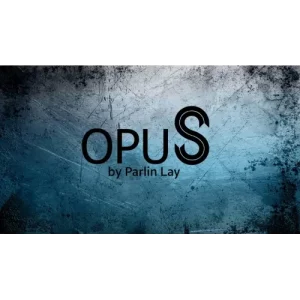 Opus 0.1 by Parlin Lay