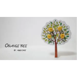 Orange Tree by Hugo Choi