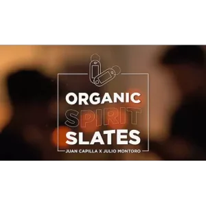 Organic Spirit Slates by Juan Capilla and Julio Montoro
