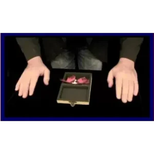 Origami Fly by Artmik Teaser