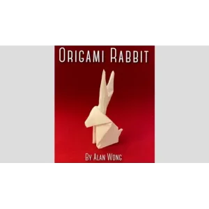 Origami Rabbit by Alan Wong