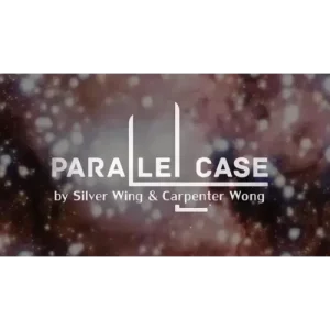 P Case Blue by Silver Wing