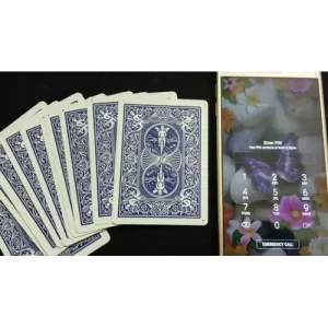 P.I.N. by Dibya Guha