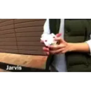 Packed Lunch by Winson Lee