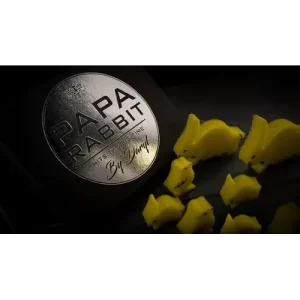 Papa Rabbit Hits The Big Time by Daryl