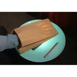 Paper Bag by Sansminds Creative Lab