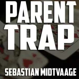 Parent Trap by Sebastian Midtvaage