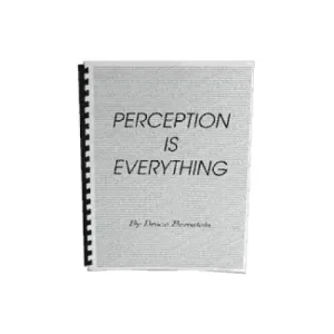 Perception Is Everything by Bruce Bernstein