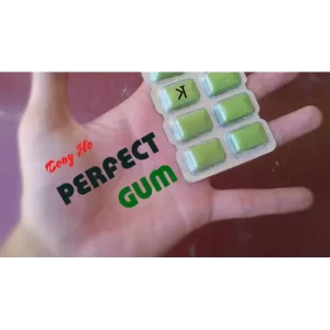 Perfect Gum by Tony Ho & Kelvin Trinh