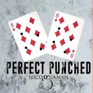 Perfect Punched by Nico Guaman
