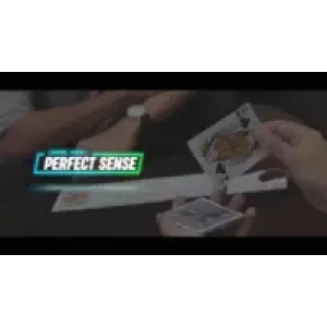 Perfect Sense by Daniel Hiew