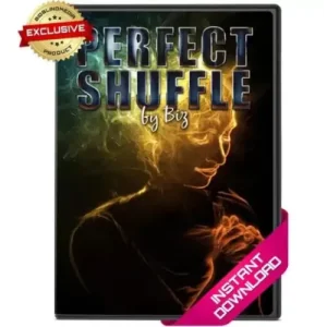 Perfect Shuffle by Biz