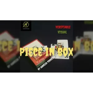 Piece In Box by Aurélio Ferreira