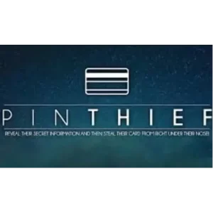 Pin Thief by Jamie Daws