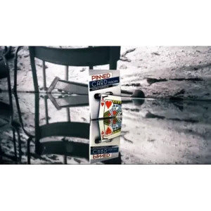 Pinned Card Reborn by Damien Vappereau and Magic Dream