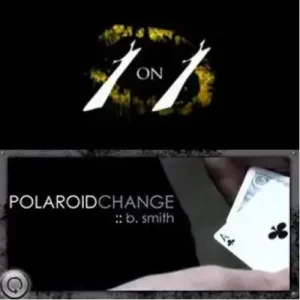 Polaroid Change by B.Smith