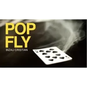 Pop Fly by Bizau Cristian