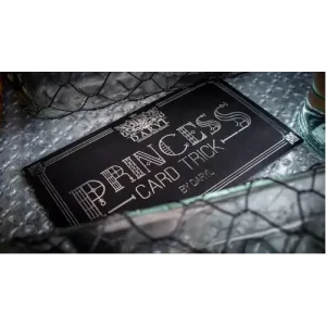 Princess Card Trick by Daryl