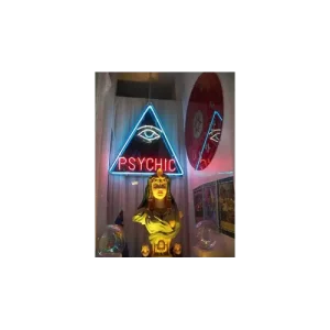 Private Medium & Fortune Tellers Secret Psychic Cold Reading Notebooks by Nathan Demdyke