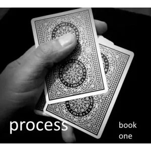Process: Book One by Doc Docherty