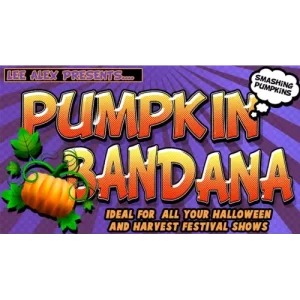 Pumpkin Bandana by Lee Alex