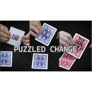 Puzzled Change by Zi Tian