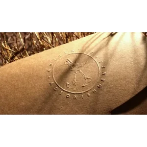 Quantum Angel by Paul Harris